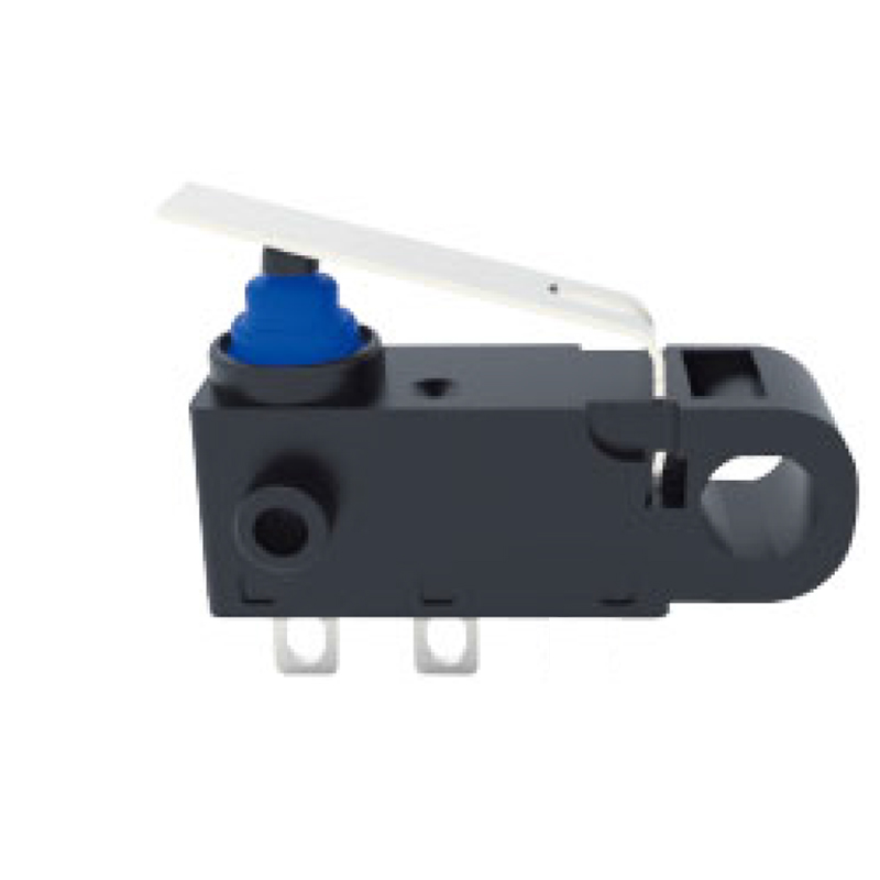model-image