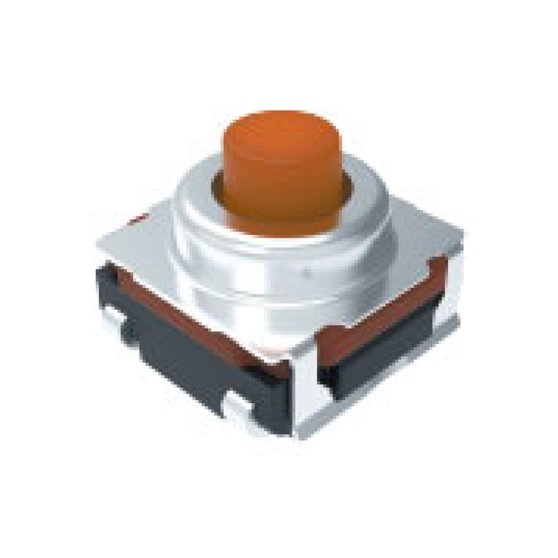model-image
