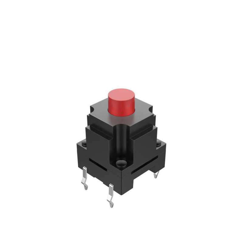 model-image